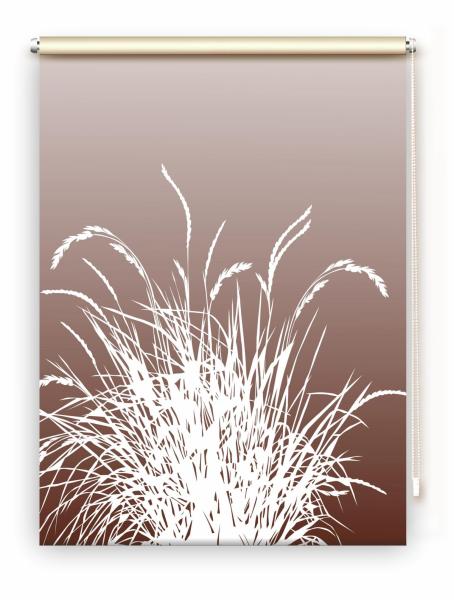 Rollo Reed24 coffee dark - Sichtschutz Extartiqe